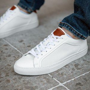 Steve Madden Finneas Sneaker - Size 12